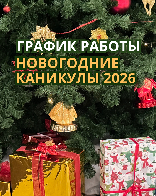 ������ ������ �������� �����-����������� � ���������� �������� 2026