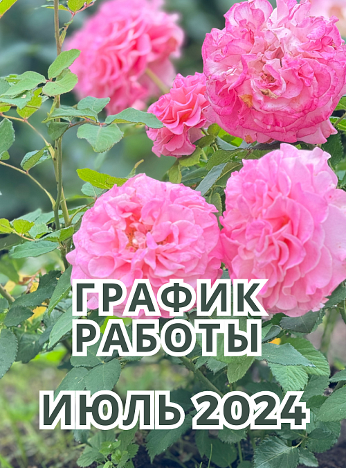График работы в июле 2024 г.