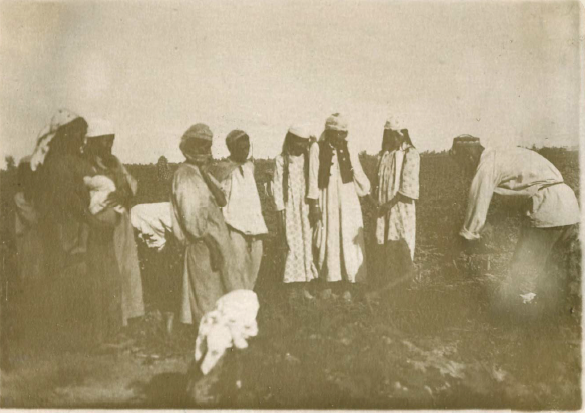 Фотография П. Покаржевского, 1910 г..png